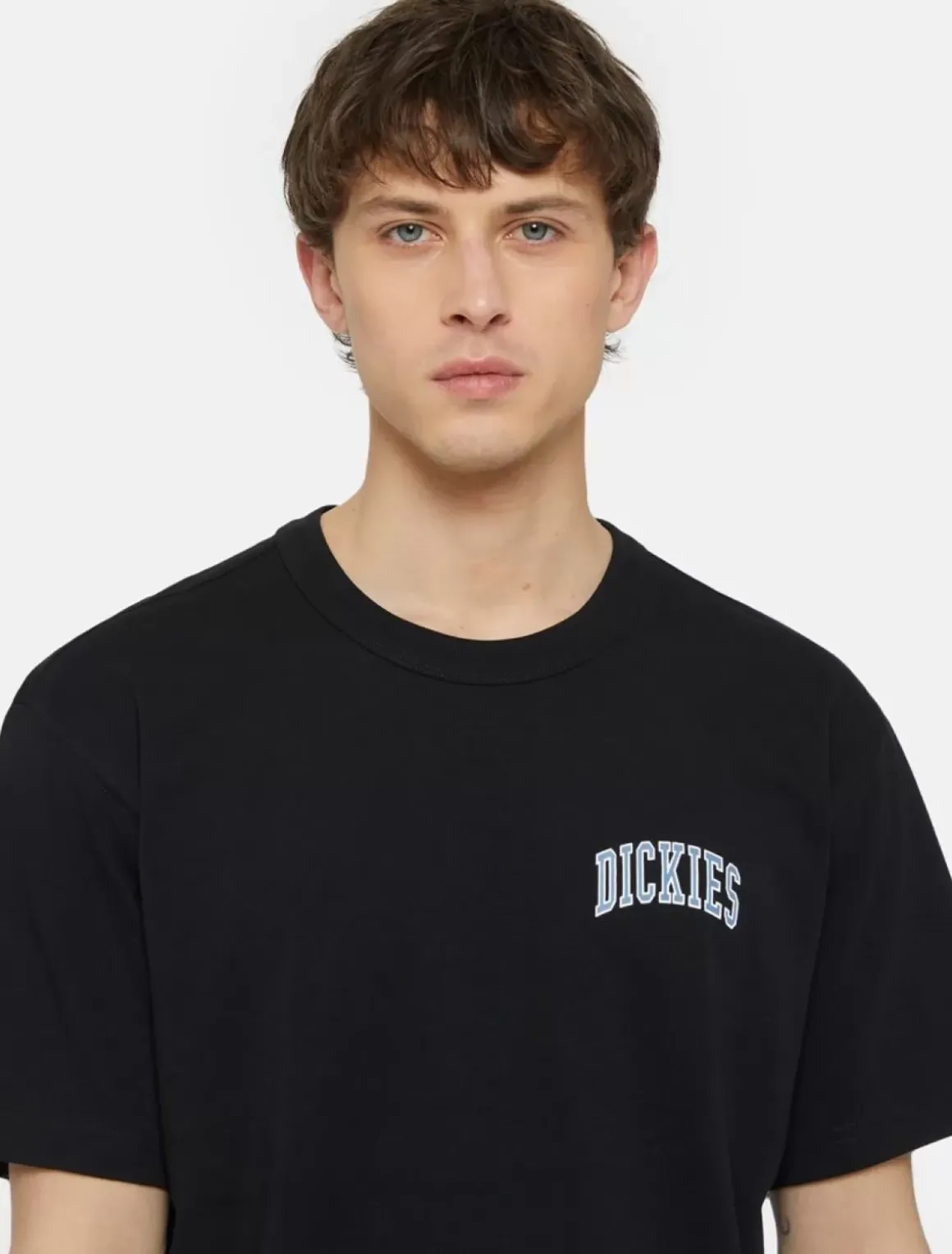 Dickies T-Shirts*Aitkin Chest Logo Short Sleeve T-Shirt