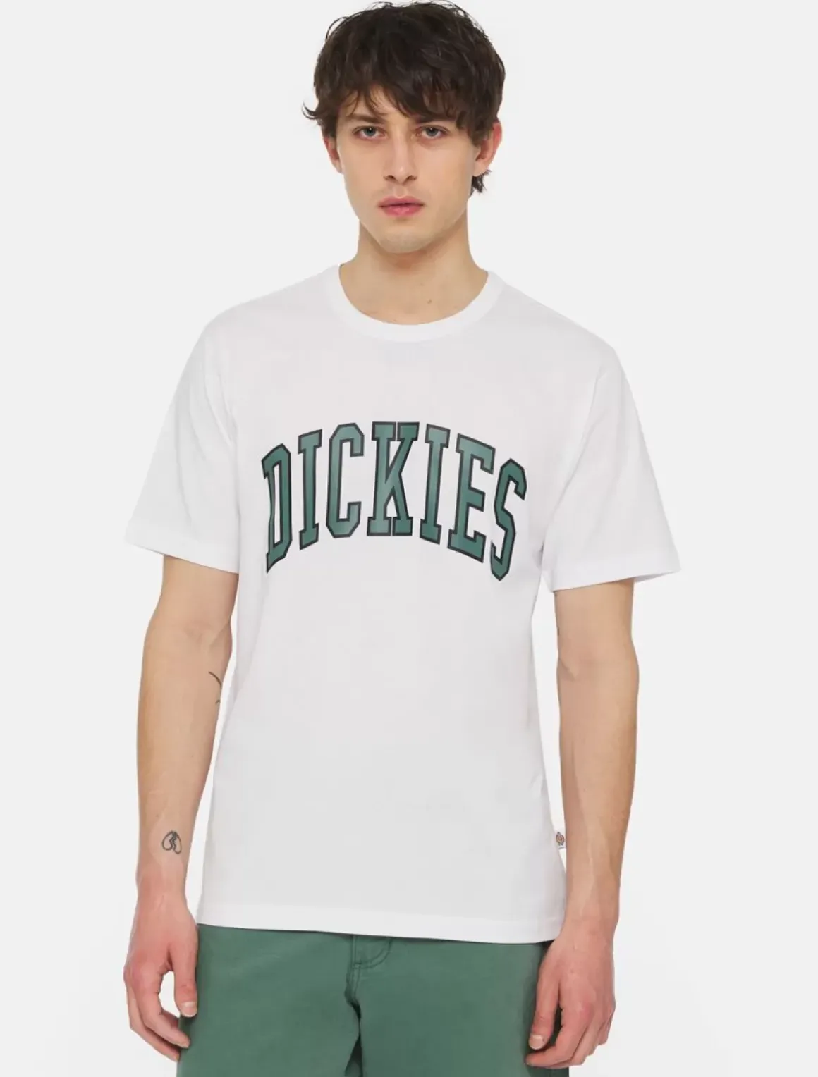 Dickies T-Shirts*Aitkin Short Sleeve T-Shirt