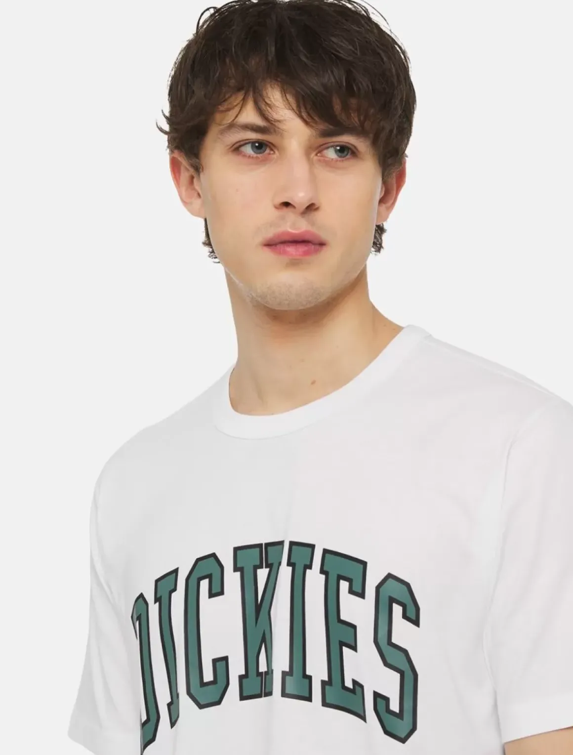 Dickies T-Shirts*Aitkin Short Sleeve T-Shirt