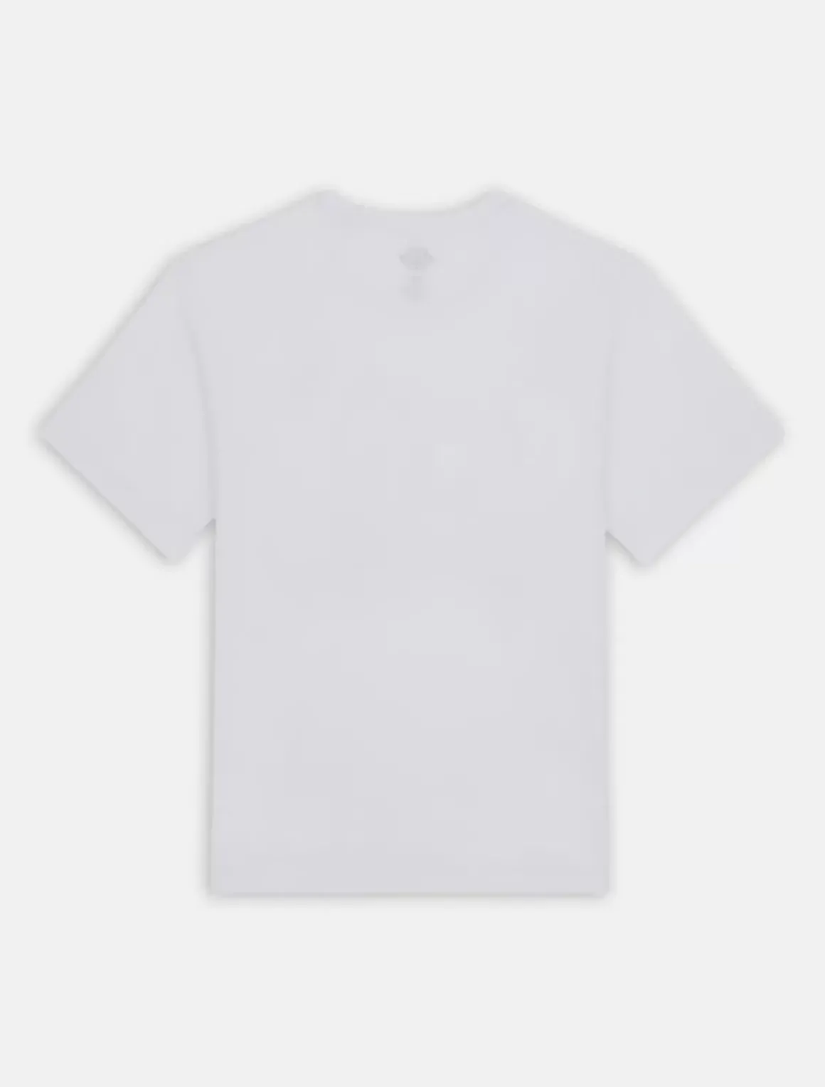 Dickies T-Shirts*Aitkin Short Sleeve T-Shirt