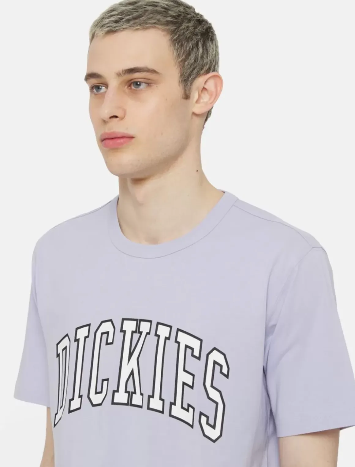 Dickies T-Shirts*Aitkin Short Sleeve T-Shirt