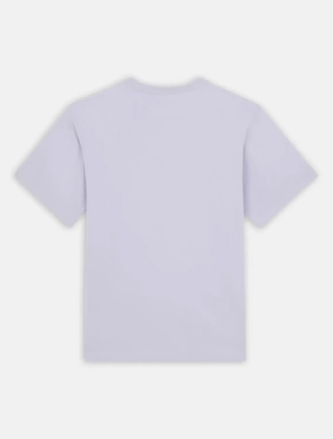 Dickies T-Shirts*Aitkin Short Sleeve T-Shirt