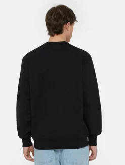 Dickies Sweatshirts & Hoodies*Aitkin Sweatshirt