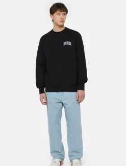Dickies Sweatshirts & Hoodies*Aitkin Sweatshirt