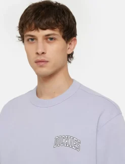 Dickies Sweatshirts & Hoodies*Aitkin Sweatshirt