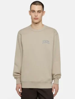 Dickies Sweatshirts & Hoodies*Aitkin Sweatshirt