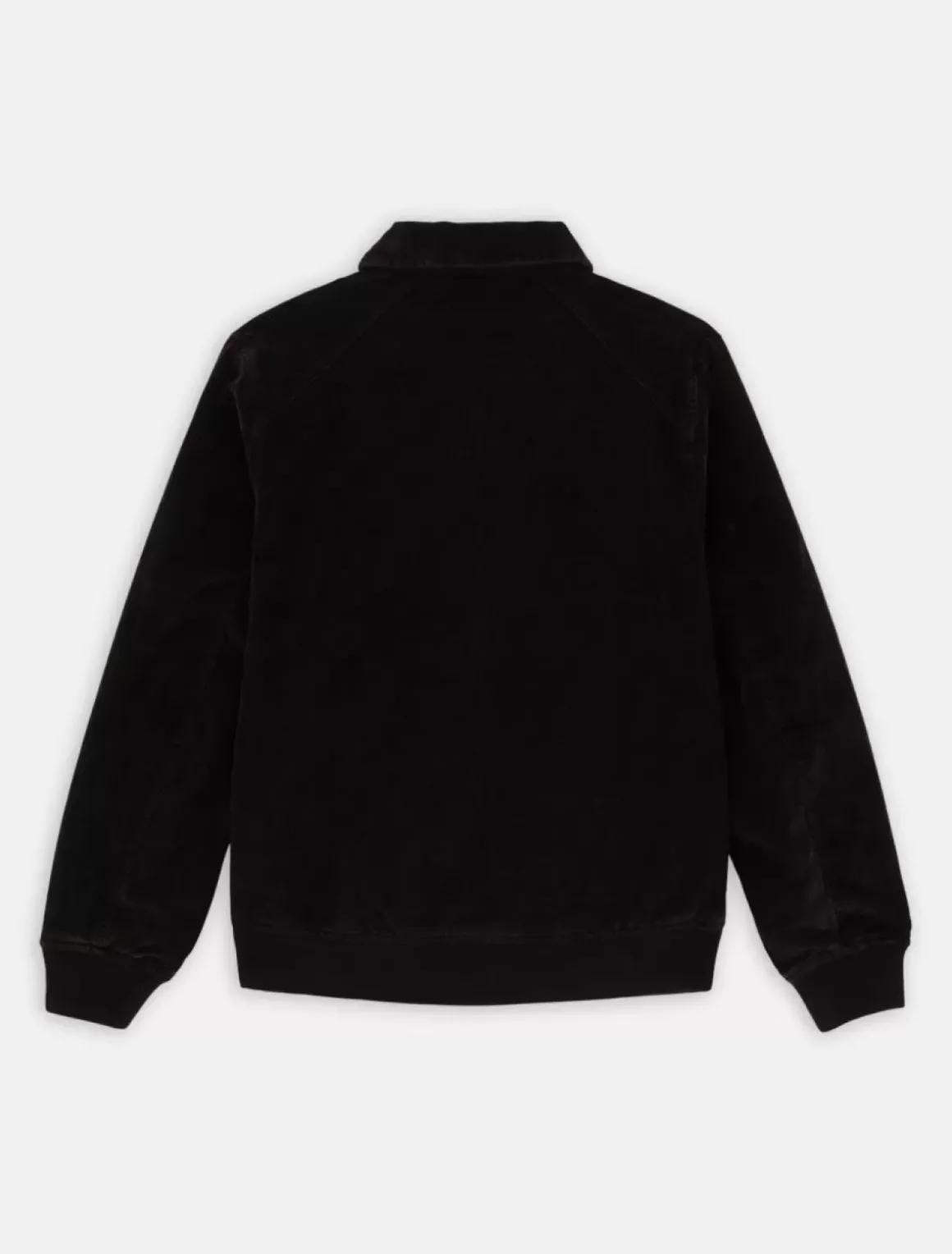 Dickies Jackets & Puffers*Chase City Jacket