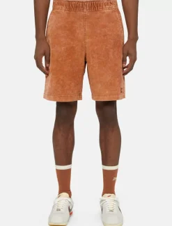 Dickies Shorts*Chase City Shorts