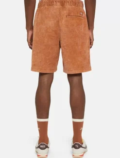 Dickies Shorts*Chase City Shorts