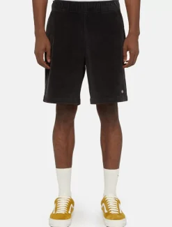 Dickies Shorts*Chase City Shorts
