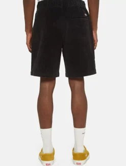 Dickies Shorts*Chase City Shorts