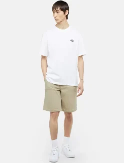 Dickies Shorts*Duck Canvas Chap Shorts