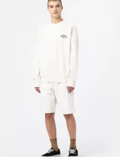 Dickies Shorts*Duck Canvas Shorts