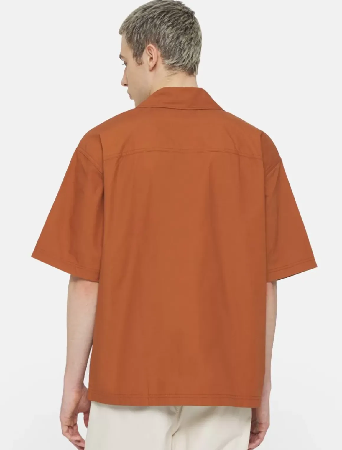 Dickies Shirts*Fishersville Short Sleeve Shirt