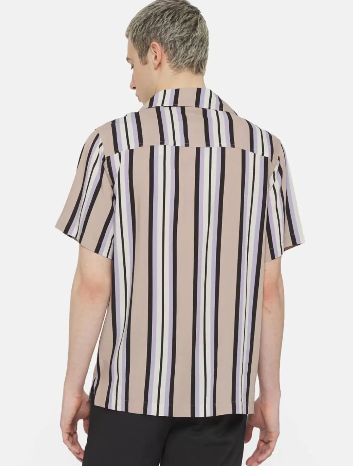 Dickies Shirts*Forest Short Sleeve Shirt