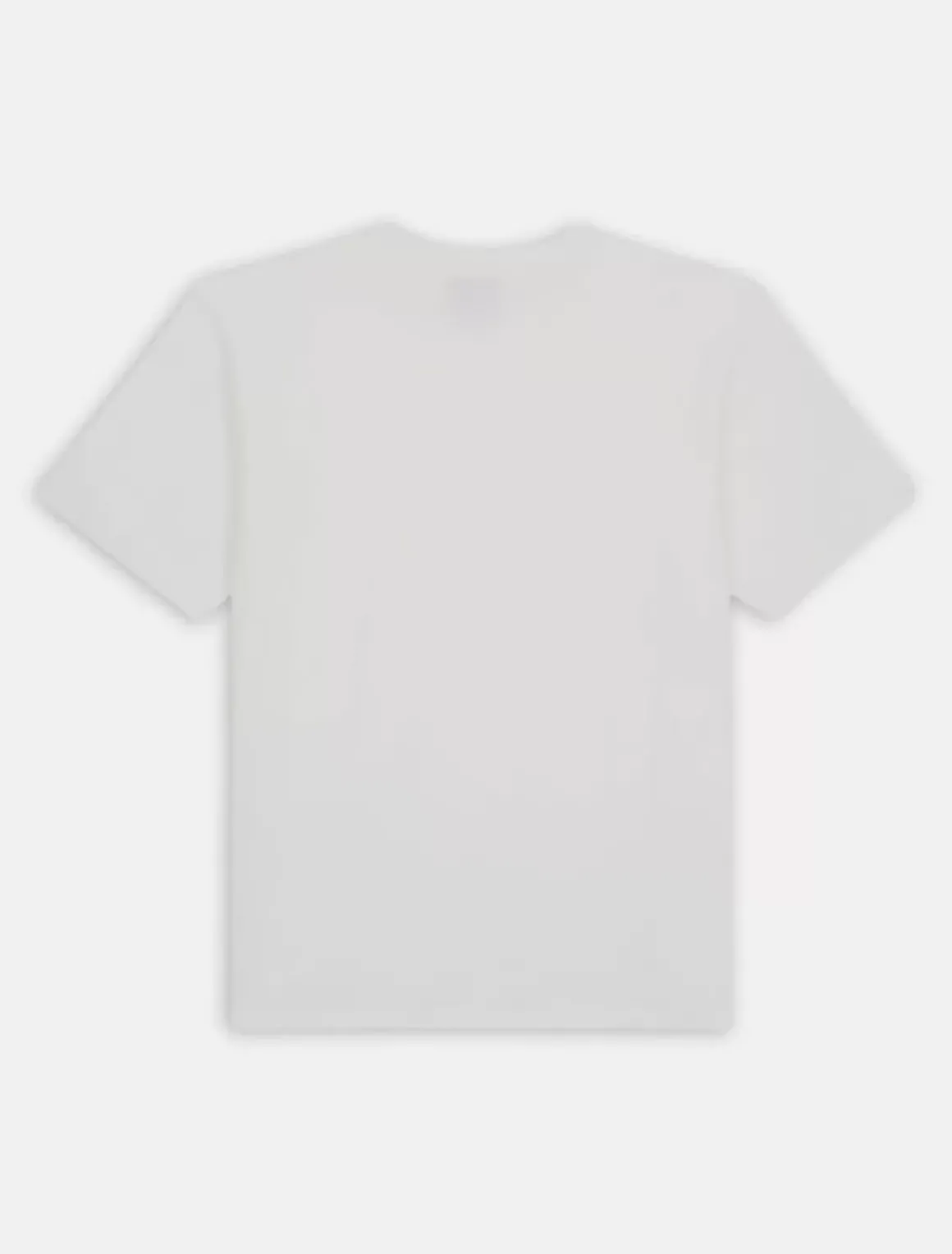 Dickies Collabs & Collections|T-Shirts*Garment Dyed Short Sleeve T-Shirt