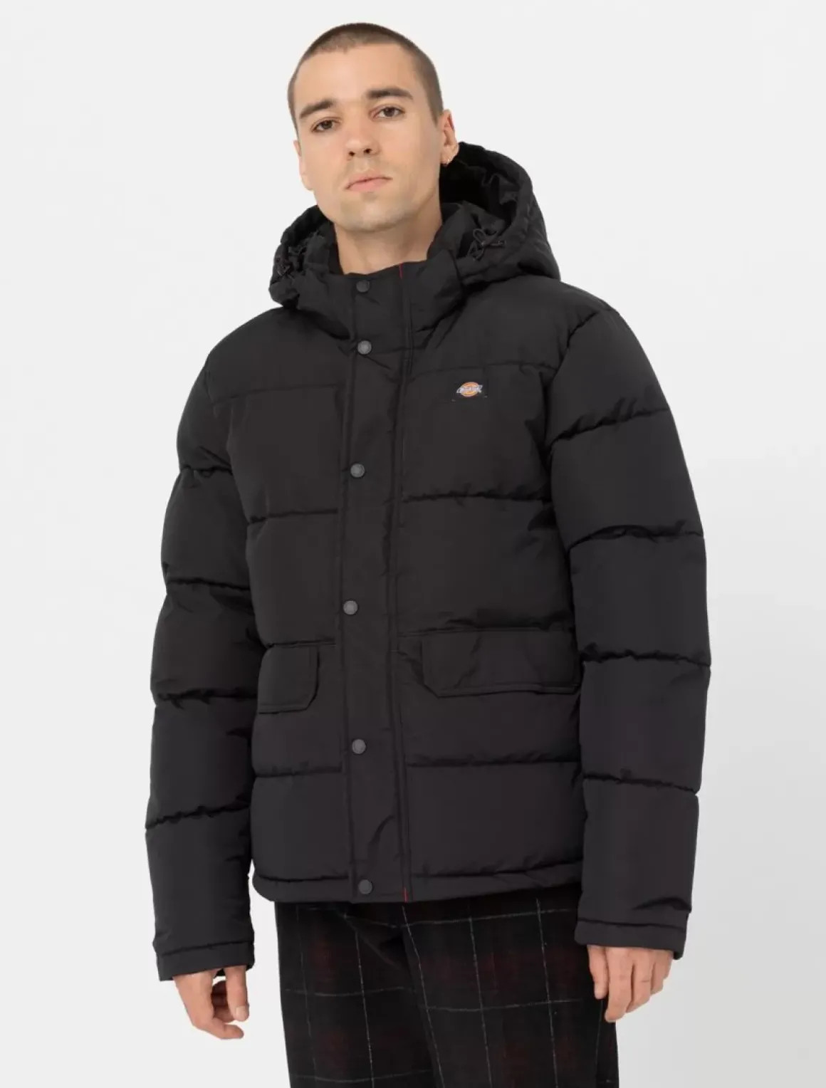 Dickies Jackets & Puffers*Glacier View Puffer Jacket
