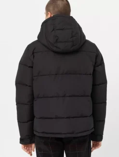 Dickies Jackets & Puffers*Glacier View Puffer Jacket