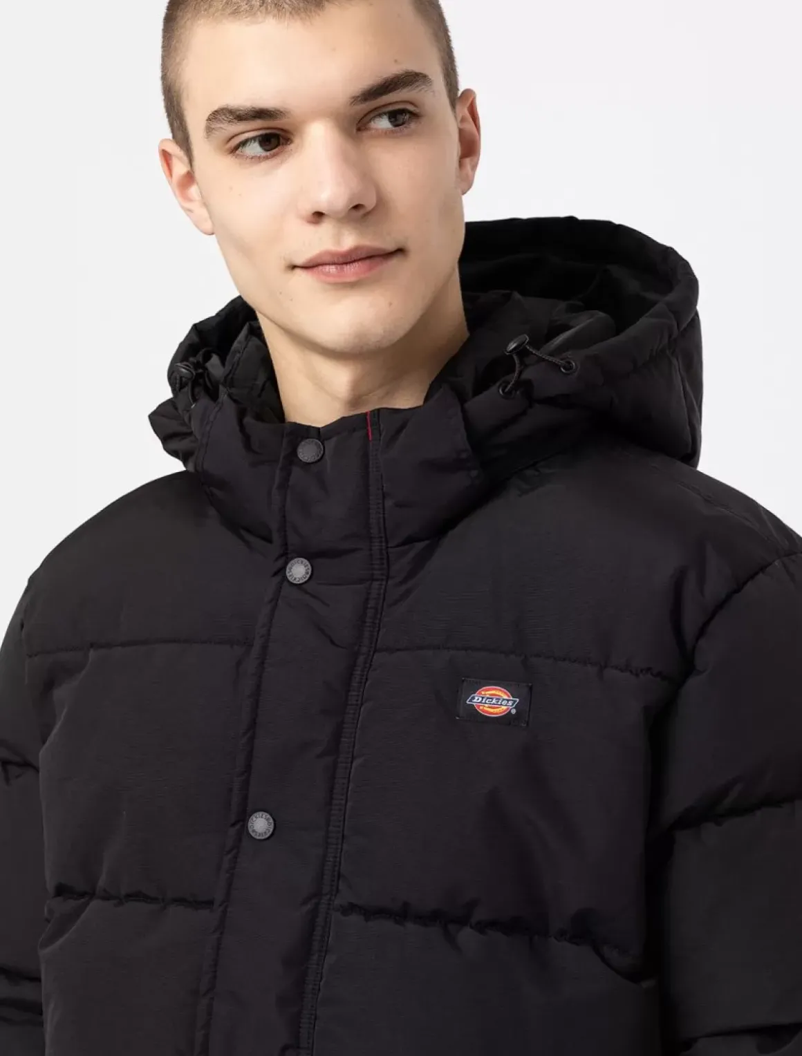 Dickies Jackets & Puffers*Glacier View Puffer Jacket
