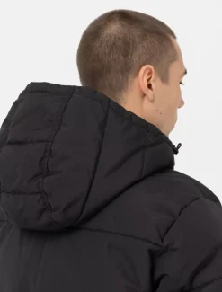 Dickies Jackets & Puffers*Glacier View Puffer Jacket