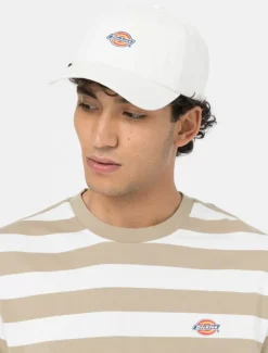Dickies Headwear*Hardwick Baseball Cap
