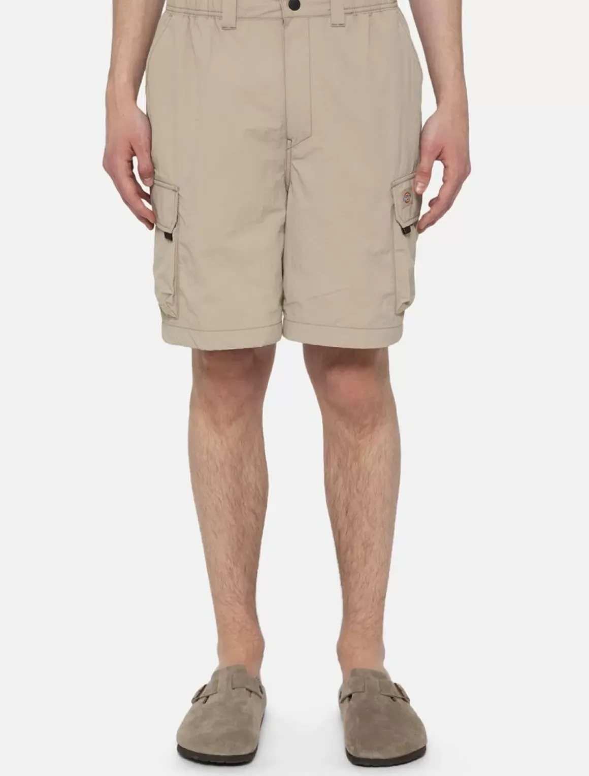 Dickies Shorts*Jackson Cargo Shorts