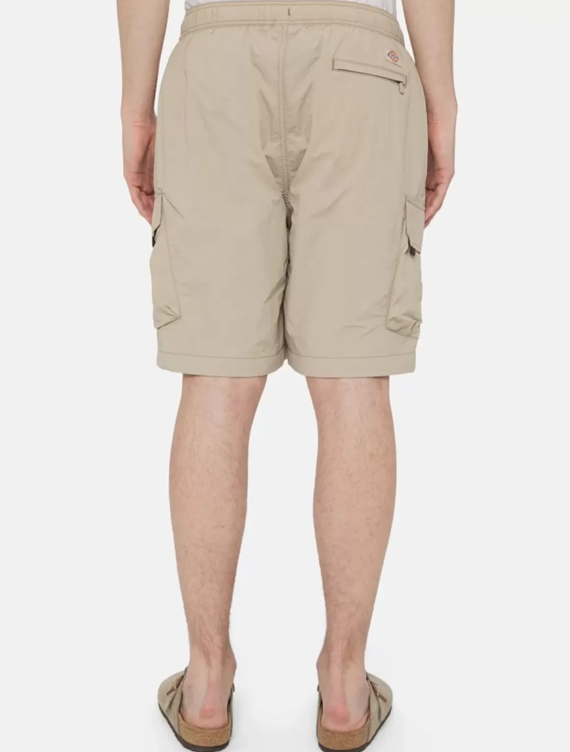 Dickies Shorts*Jackson Cargo Shorts