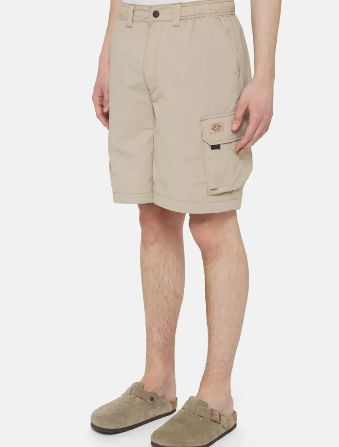 Dickies Shorts*Jackson Cargo Shorts