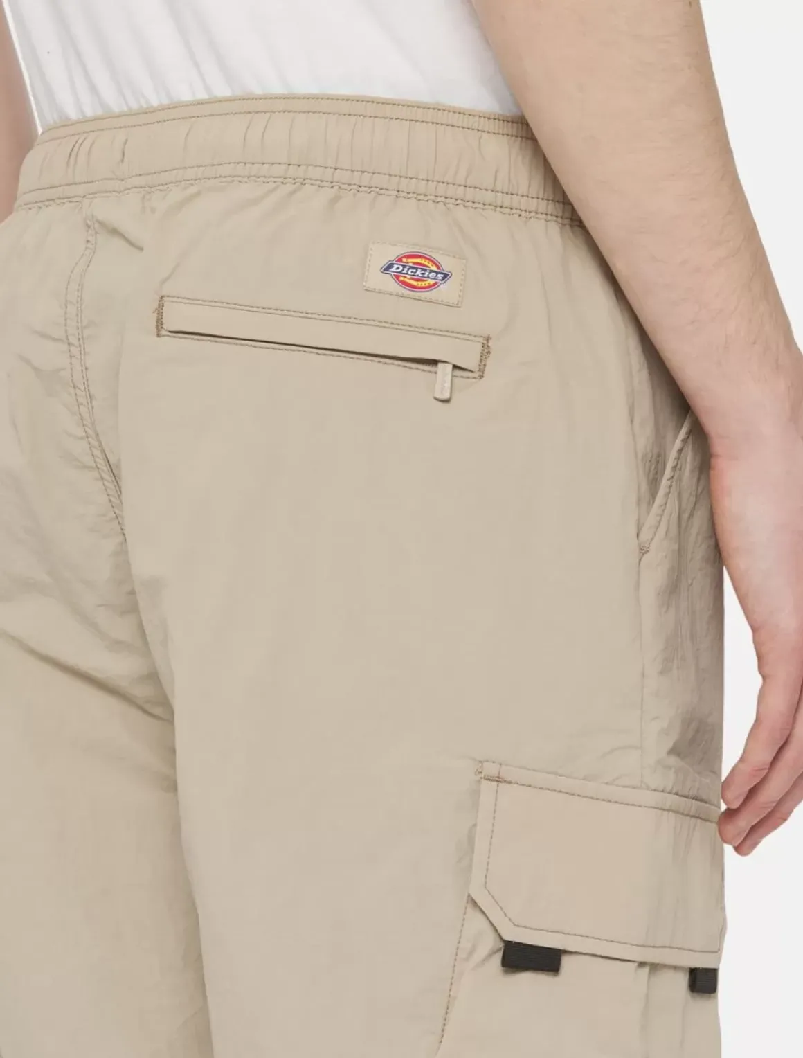 Dickies Shorts*Jackson Cargo Shorts