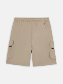 Dickies Shorts*Jackson Cargo Shorts