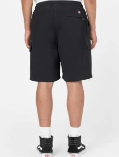 Dickies Shorts*Jackson Cargo Shorts