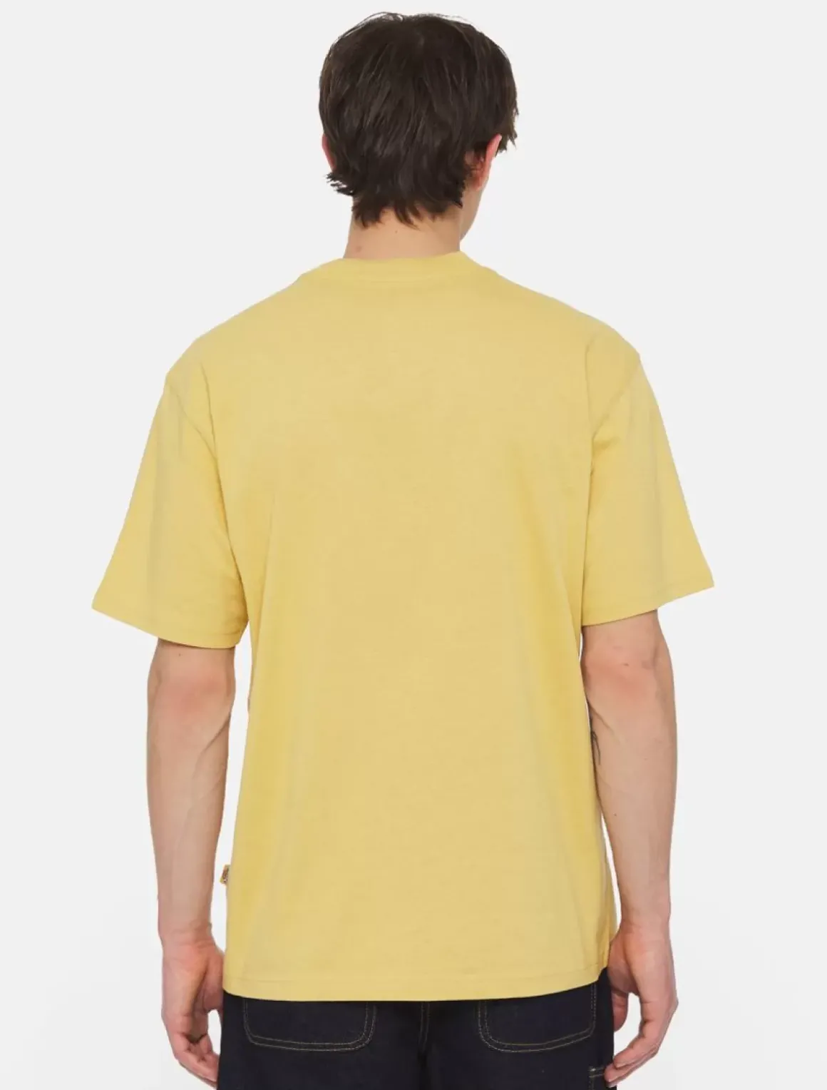 Dickies T-Shirts*Luray Short Sleeve Pocket T-Shirt