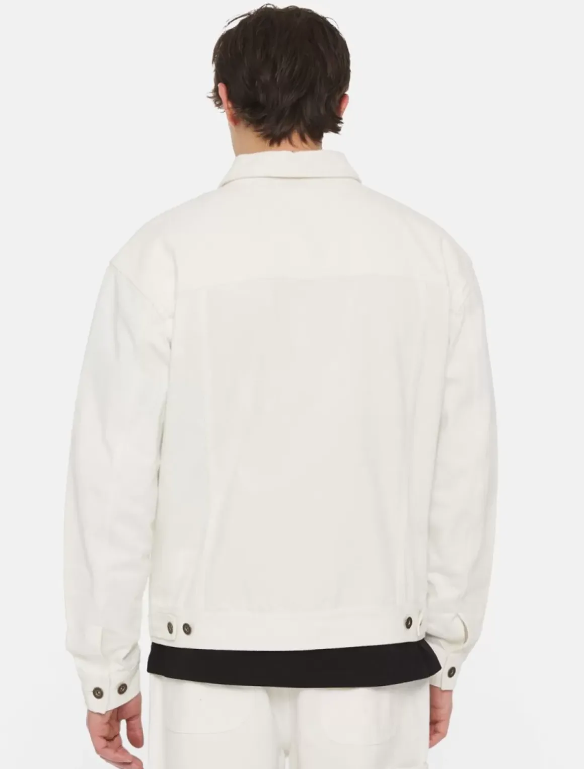 Dickies Jackets & Puffers|Denim*Madison Jacket