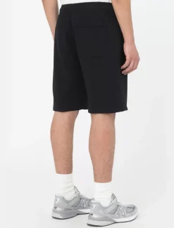 Dickies Shorts*Mapleton Shorts