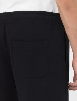 Dickies Shorts*Mapleton Shorts