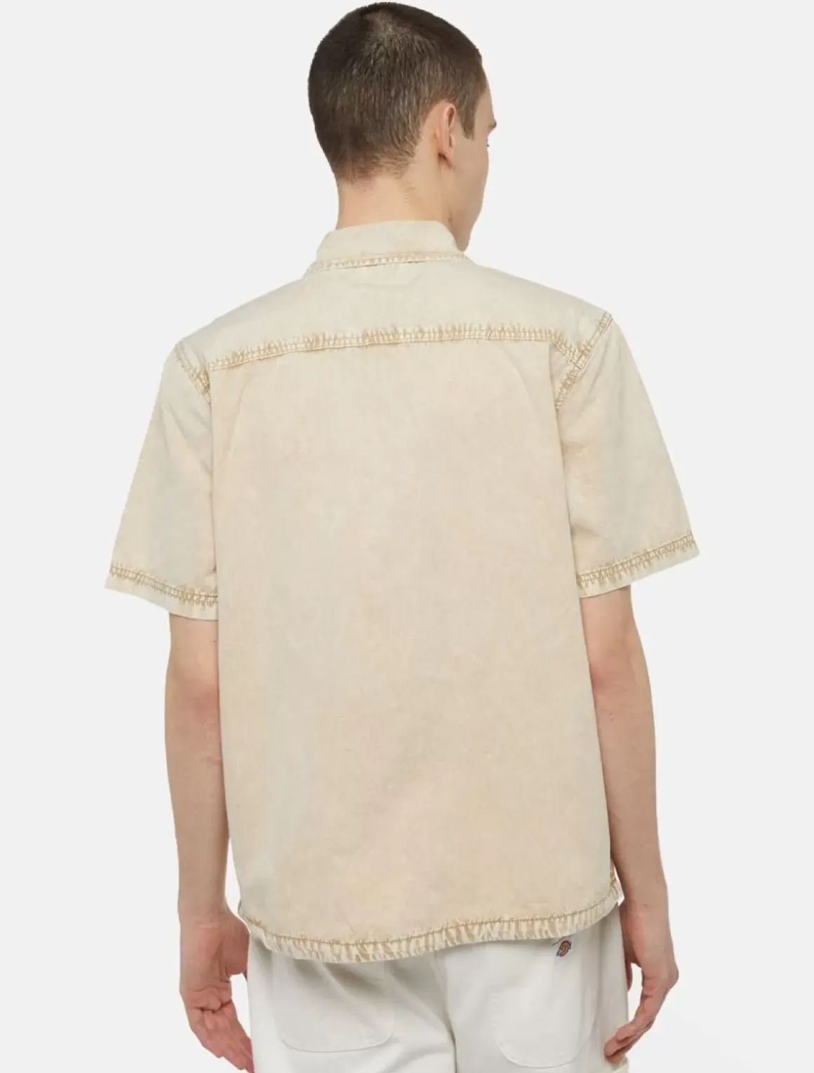 Dickies Shirts*Newington Short Sleeve Shirt