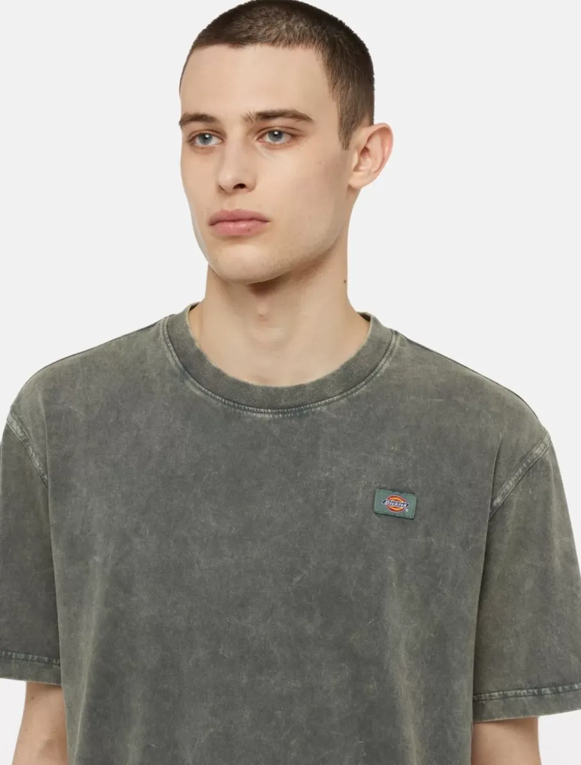Dickies T-Shirts*Newington Short Sleeve T-Shirt