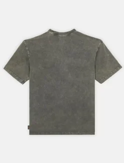 Dickies T-Shirts*Newington Short Sleeve T-Shirt