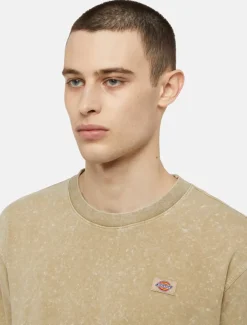 Dickies T-Shirts*Newington Short Sleeve T-Shirt