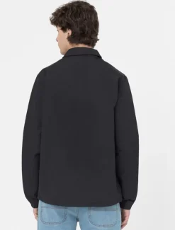 Dickies Jackets & Puffers*Oakport Coach Jacket
