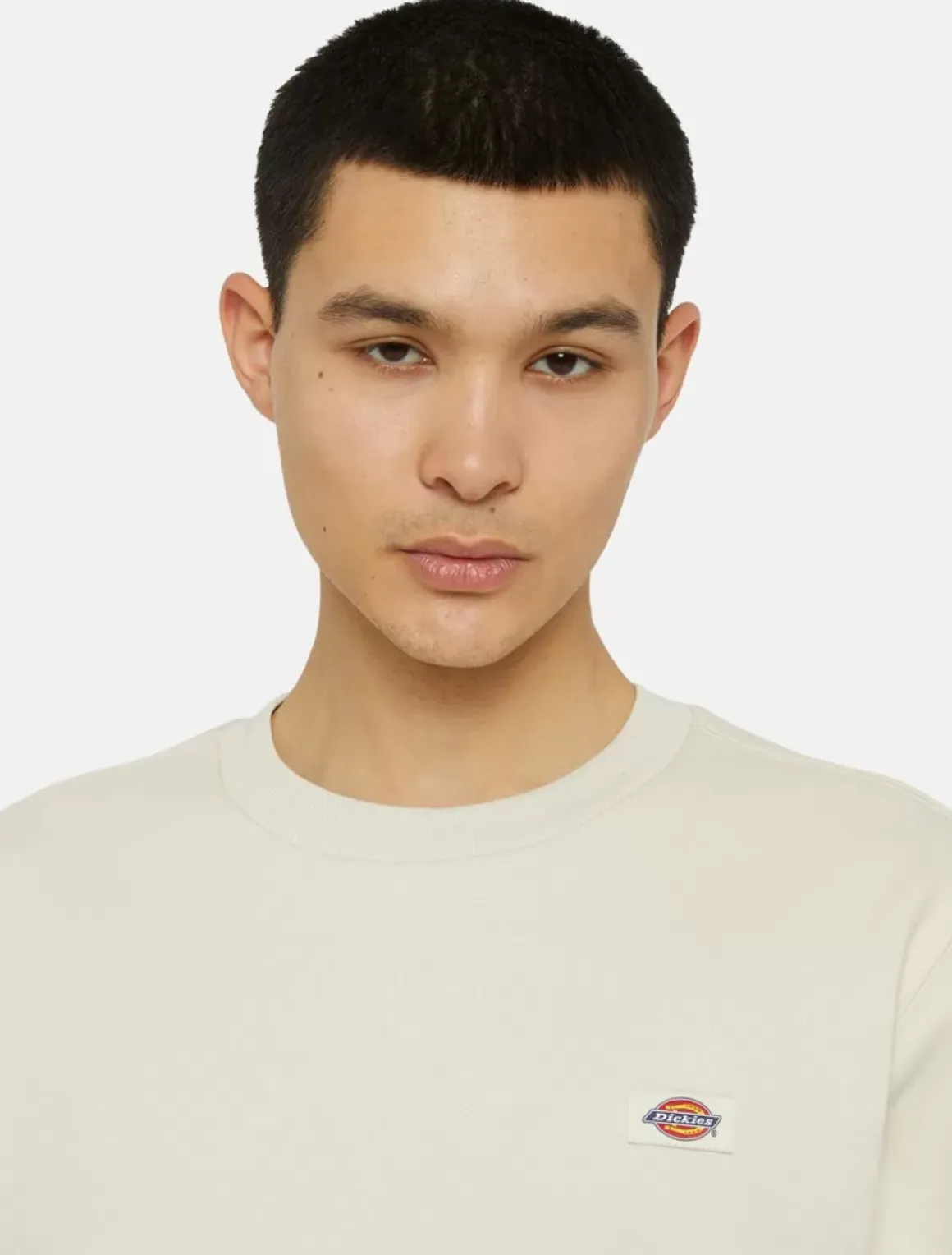 Dickies Sweatshirts & Hoodies*Oakport Sweatshirt