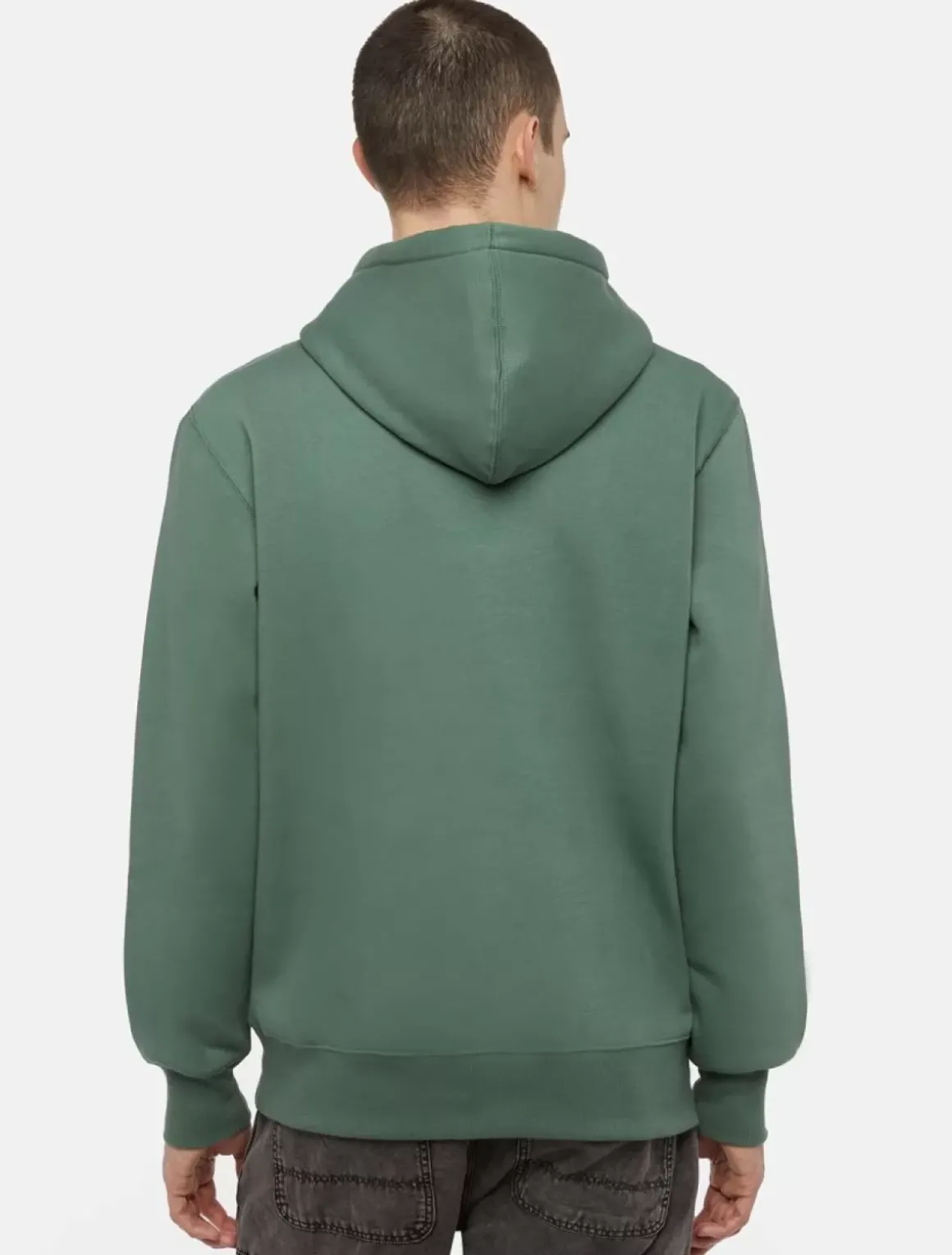 Dickies Sweatshirts & Hoodies*Park Hoodie