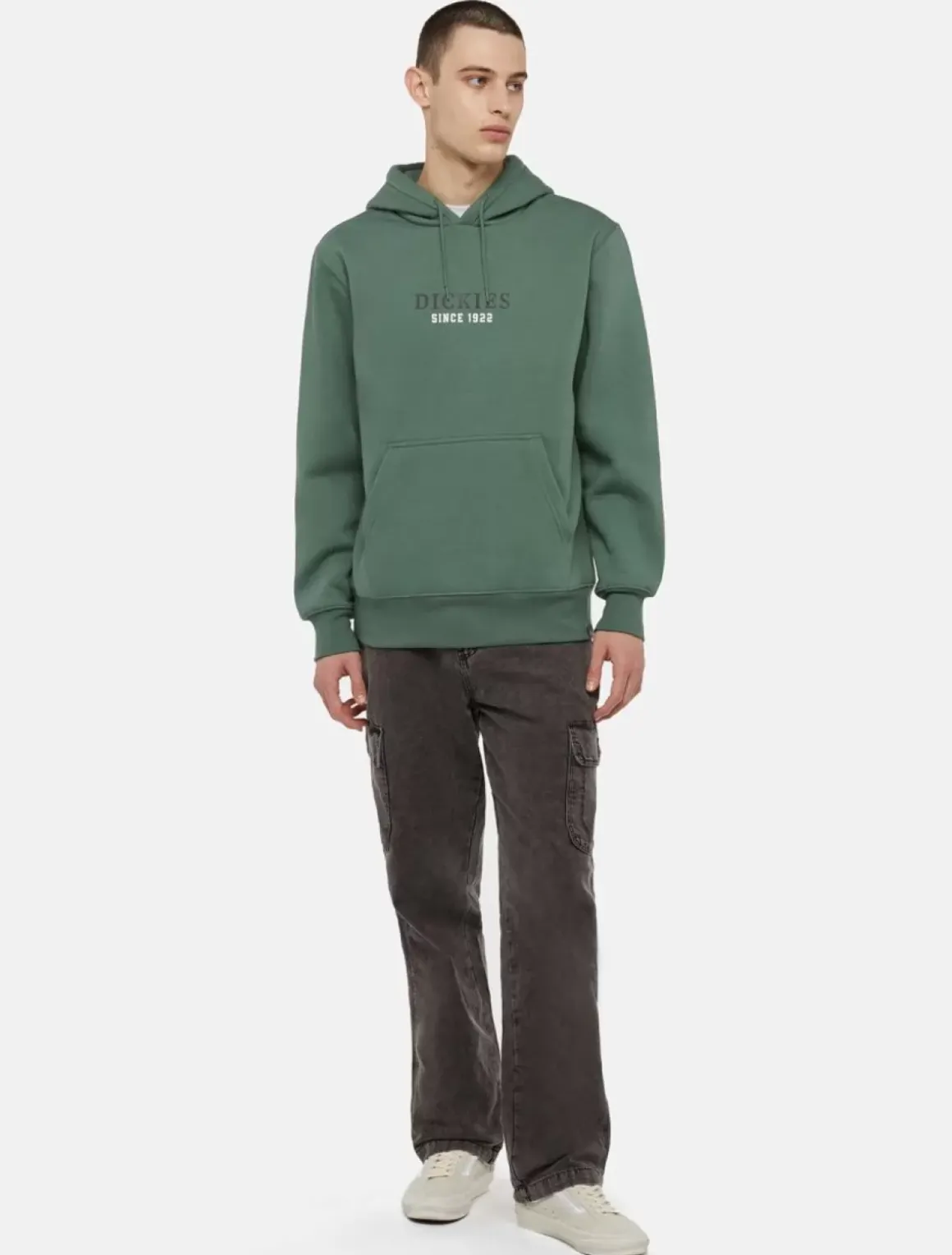 Dickies Sweatshirts & Hoodies*Park Hoodie