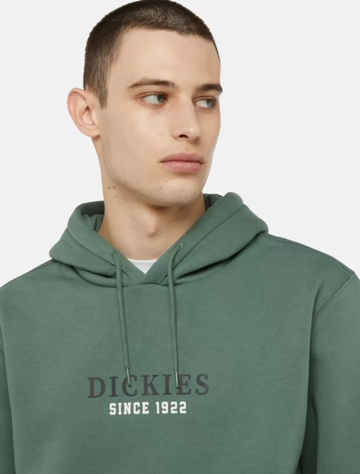 Dickies Sweatshirts & Hoodies*Park Hoodie