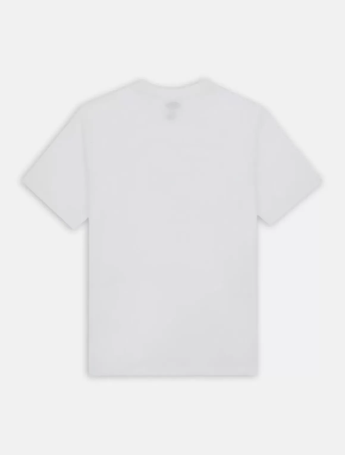 Dickies T-Shirts*Park Short Sleeve T-Shirt