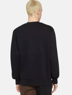 Dickies Sweatshirts & Hoodies*Park Sweatshirt
