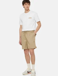 Dickies Shorts*Pelican Rapids Shorts