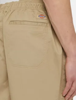 Dickies Shorts*Pelican Rapids Shorts