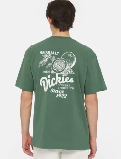 Dickies T-Shirts*Raven Short Sleeve T-Shirt