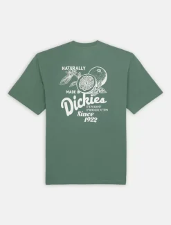 Dickies T-Shirts*Raven Short Sleeve T-Shirt
